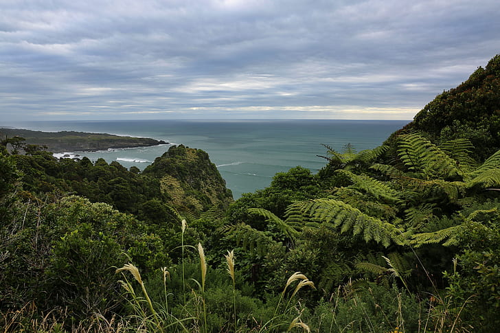 New Zealand, The Tasman sea, National Park Paparoa, HD wallpaper