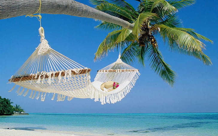 Miejsce letniego relaksu, biały hamak, lato, relaks, miejsce, plaża, Tapety HD