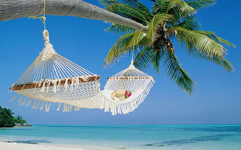 Miejsce letniego relaksu, biały hamak, lato, relaks, miejsce, plaża, Tapety HD HD wallpaper