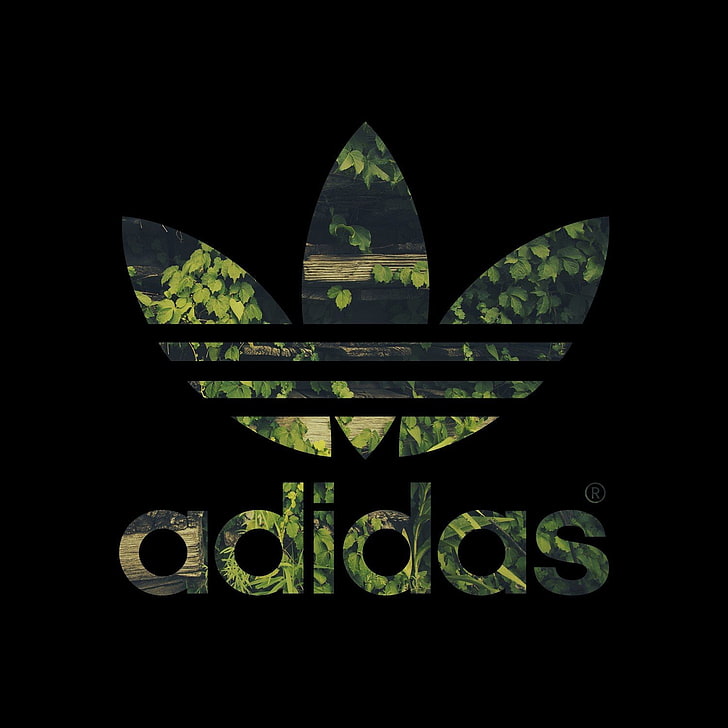 adidas, leaves, logo, HD wallpaper