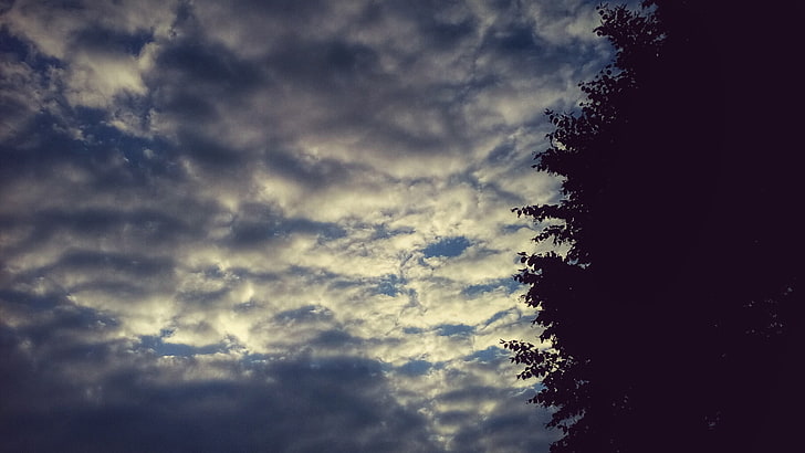 Himmel, Bäume, Wolken, Natur, HD-Hintergrundbild
