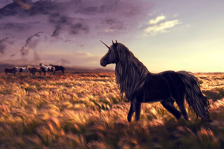 Unicornios, negro, caballo, Fondo de pantalla HD | Wallpaperbetter
