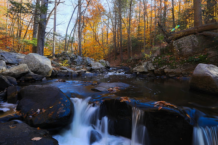 river and rocks between trees during daytime, Black River, SP, rocks, trees, daytime, Autumn, Canon EOS 5D Mark IV, Hacklebarney State Park, NJ, Outdoors, State Parks, landscape, nature, forest, stream, tree, leaf, river, water, scenics, waterfall, rock - Object, flowing Water, beauty In Nature, season, HD wallpaper