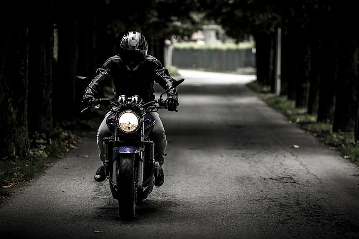 rower, motocyklista, ciemny, kierowca, honda szerszeń, motocykl, motocykl, osoba, ulica, Tapety HD