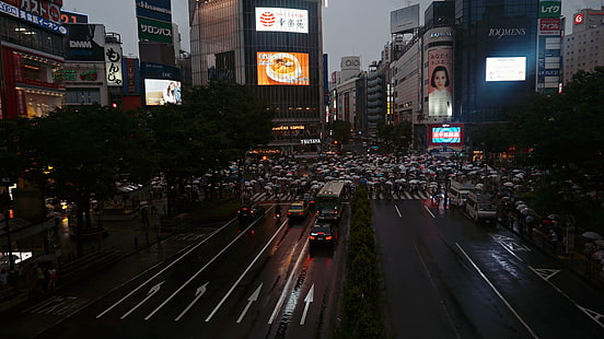 Япония, городской пейзаж, Токио, Сибуя, дождь, HD обои HD wallpaper