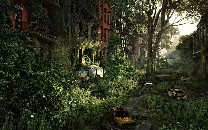 coches y edificios abandonados durante el día, bosque, naturaleza, Crysis 3, cubierto, videojuegos, Crysis, Fondo de pantalla HD