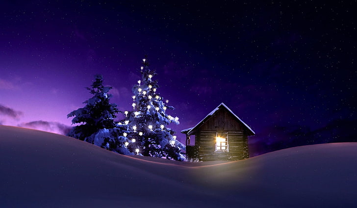 Рождественская освещенная елка вне зимнего домика, HD обои