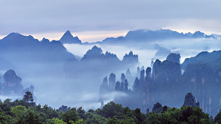 arbres verts, nature, paysage, matin, brume, montagnes, forêt, nuages, arbres, Guilin, Chine, Fond d'écran HD