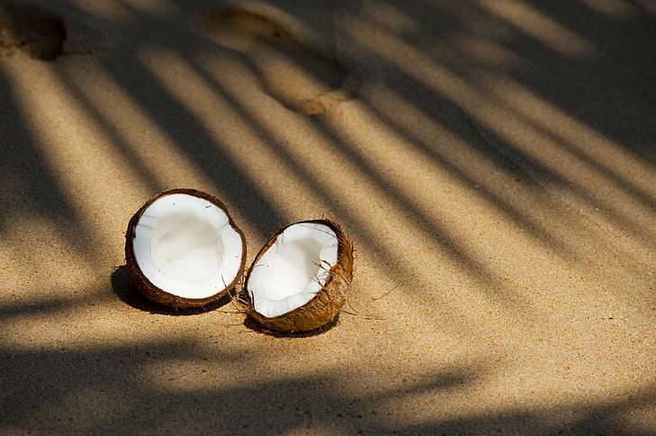 beach, coconut, delicious, food, fruit, holiday, island, outdoors, sand, seashore, shadow, shell, still life, summer, travel, tropical, vacation, water, HD wallpaper