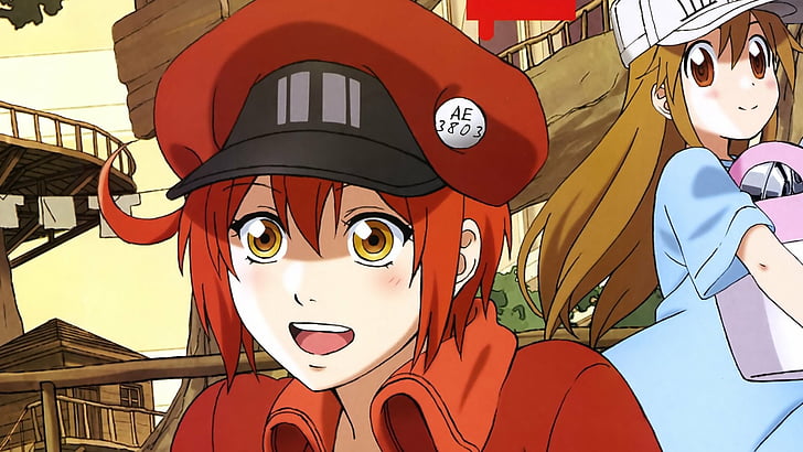 Anime, Cells at Work !, AE3803 (Cells at Work), Platelet (Cells at Work!), Fondo de pantalla HD