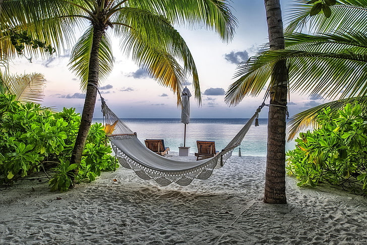 white fabric hammock, beach, summer, palm trees, stay, hammock, The Maldives, resort, HD wallpaper