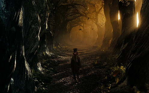Alice, foresta, cappellaio, matto, paese delle meraviglie, Sfondo HD HD wallpaper