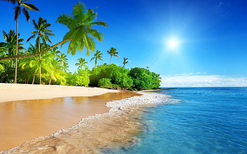 열대 팜 트리 비치 오션 햇빛 섬 HD, 자연, 바다, 해변, 햇빛, 나무, 열대, 섬, 야자수, HD 배경 화면 HD wallpaper