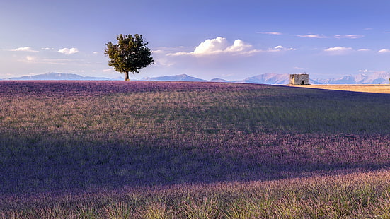 Frankrike, landskap, natur, Provence, HD tapet HD wallpaper