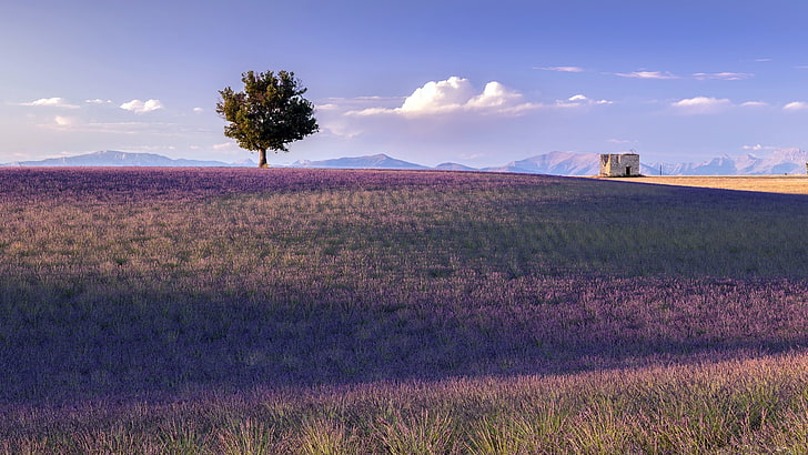 France, Provence, paysage, nature, Fond d'écran HD