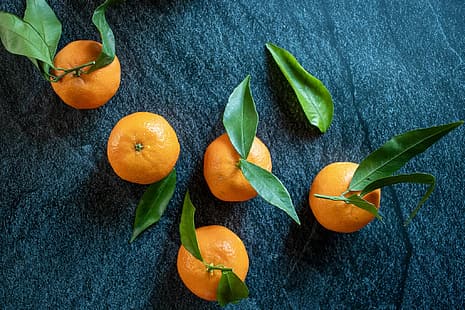 Hintergrund, Blätter, Zitrusfrüchte, Mandarinen, HD-Hintergrundbild HD wallpaper