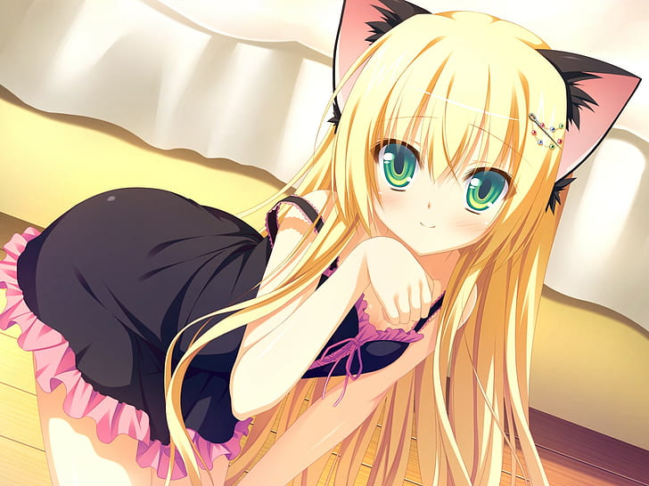 Sumiyoshi Kureha, Katzenmädchen, Tierohren, Anime-Mädchen, Bildroman, Oni Gokko, Nekomimi, HD-Hintergrundbild