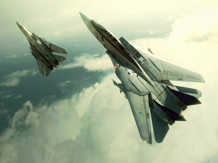 dois caças cinza, Grumman F-14 Tomcat, nuvens, videogames, Ace Combat, aeronaves militares, aeronaves, HD papel de parede