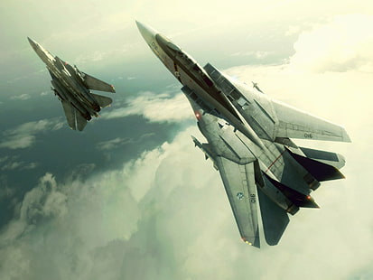 dois caças cinza, Grumman F-14 Tomcat, nuvens, videogames, Ace Combat, aeronaves militares, aeronaves, HD papel de parede HD wallpaper