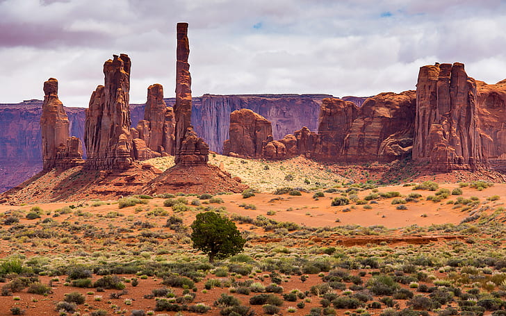 Пейзаж пустынных территорий со скалистыми скульптурами Долина монументов Юта, штат Аризона, США Обои для рабочего стола Hd 2560 × 1600, HD обои