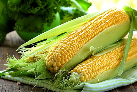  Food, Corn, HD wallpaper HD wallpaper