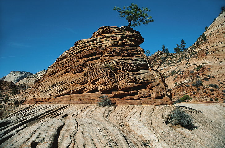 brunatna formacja skalna, kaniony, kamienie, pasy, linie, krzewy, drzewa, roślinność, Tapety HD