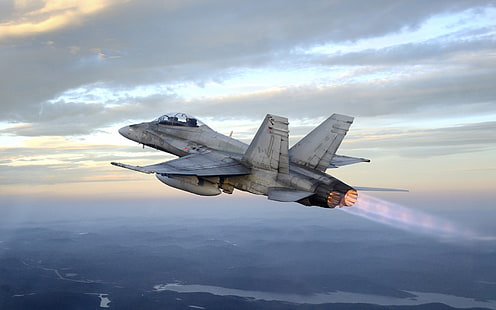 graue Düsenflugzeuge, Flugzeuge, Militärflugzeuge, McDonnell Douglas CF-18 Hornet, HD-Hintergrundbild HD wallpaper