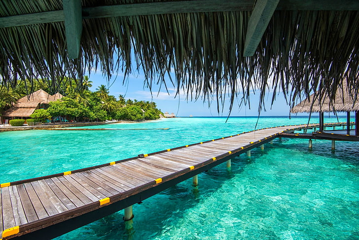кафява и жълта дървена пътека, Малдиви, курорт, море, плаж, тропически, палми, лято, ваканция, пътека, тюркоаз, вода, природа, пейзаж, HD тапет