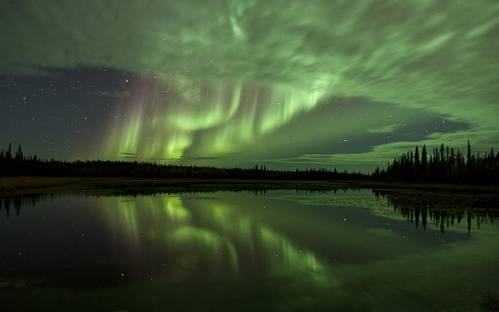 Aurora boreal Northern Lights Night Green Stars Lake Reflection HD, naturaleza, noche, verde, estrellas, lago, reflejo, luces, aurora, boreal, norte, Fondo de pantalla HD