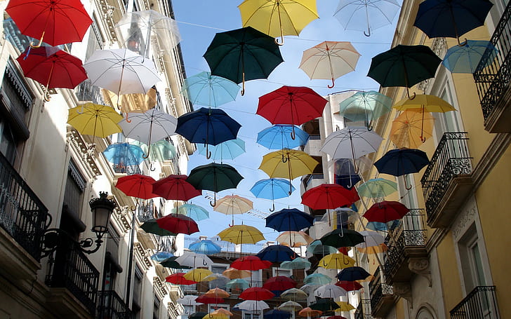 Зонт HD, красный, синий, желтый, белый и черный зонты, фотография, зонт, HD обои