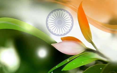 bandera, banderas, india, indio, Fondo de pantalla HD HD wallpaper