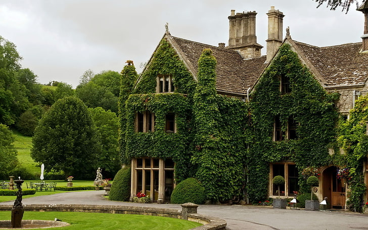 house, ivy, trees, England, Wiltshire, HD wallpaper