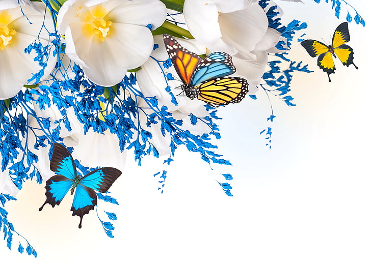 quattro farfalle di colori assortiti vicino a fiori bianchi con petali di carta da parati, fiori, collage, farfalle, ali, petali, tulipani, falena, Sfondo HD