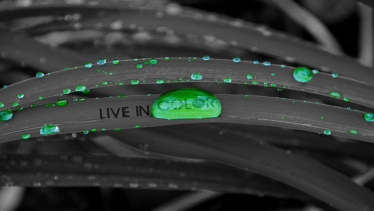 Logo Live in Color, verde, gocce d'acqua, colorazione selettiva, Sfondo HD