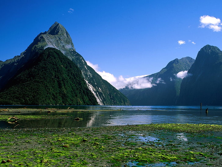 vattendrag nära berg digital tapet, landskap, Milford Sound, Fiordland National Park, fjord, Nya Zeeland, nationalpark, berg, HD tapet