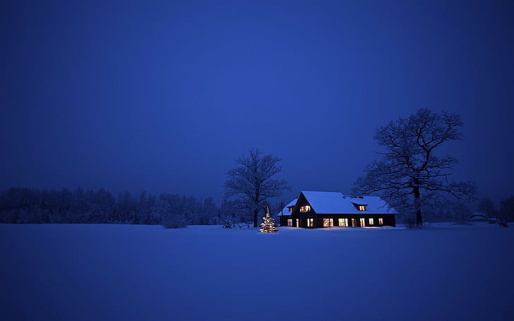зима, къща, сняг, коледно дърво, нощ, синьо, HD тапет