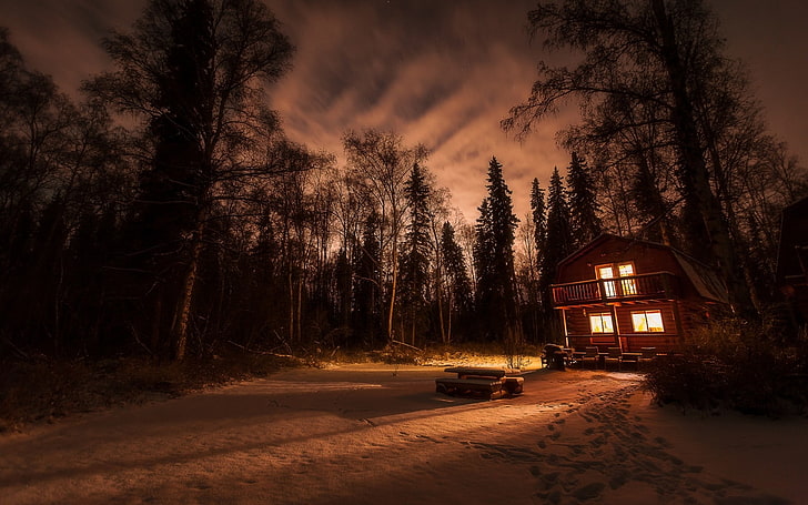 alam, pemandangan, salju, musim dingin, pondok, hutan, malam, lampu, Wallpaper HD