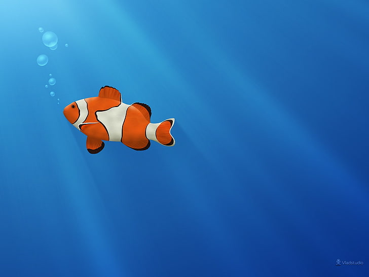 Fisch, Clownfish, Blasen, blauer Hintergrund, Vladstudio, Grafik, Unterwasser, digitale Kunst, HD-Hintergrundbild