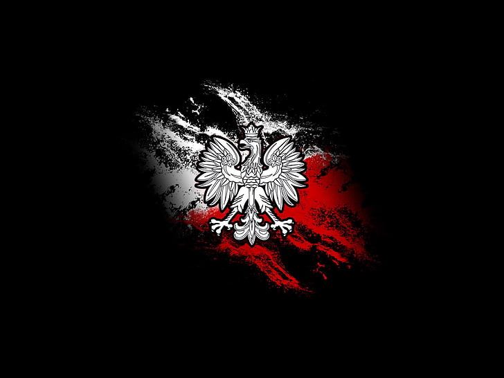águia logotipo, águia, fundo preto, HD papel de parede