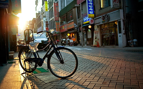 czarny rower cruiser, pejzaż miejski, miasto, rower, ulica, światło słoneczne, pojazd, miejski, Azja, Korea Południowa, Tapety HD HD wallpaper