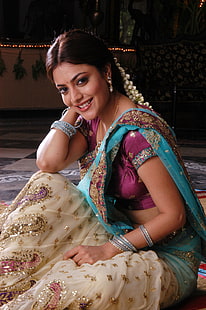 actriz, agarwal, india, nisha, sari, Fondo de pantalla HD HD wallpaper
