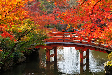 الخريف، الأشجار، الجسر، البركة، الحديقة، الحجارة، اليابان، كيوتو، خلفية HD HD wallpaper