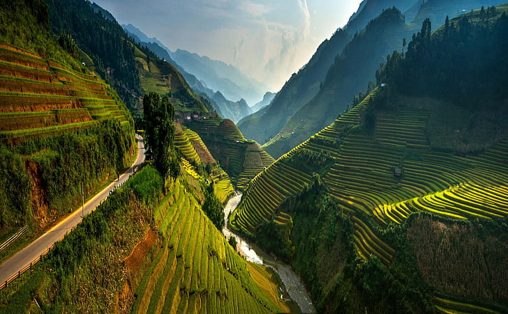 arroz arroz terraços vale vietnã montanha estrada névoa rio verde árvores primavera paisagem natureza, HD papel de parede