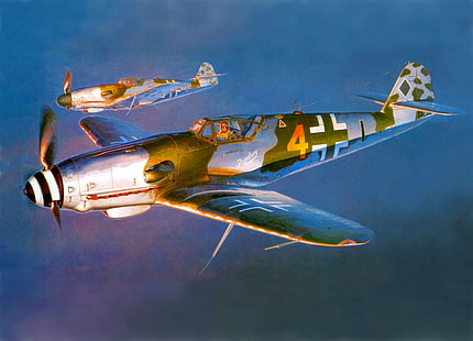 Messerschmitt, Messerschmitt Bf-109, World War II, Germany, military, aircraft, military aircraft, Luftwaffe, airplane, HD wallpaper HD wallpaper