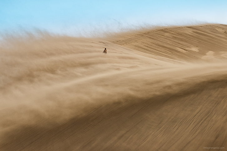 giroletto in legno marrone con materasso bianco, paesaggio, deserto, duna, sabbia, natura, Sfondo HD