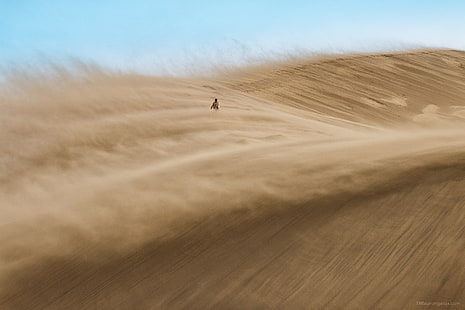 giroletto in legno marrone con materasso bianco, paesaggio, deserto, duna, sabbia, natura, Sfondo HD HD wallpaper