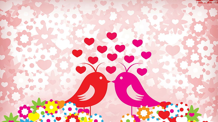 ความรัก, นก, ภาพ 4k, hd พิเศษ, วอลล์เปเปอร์ HD
