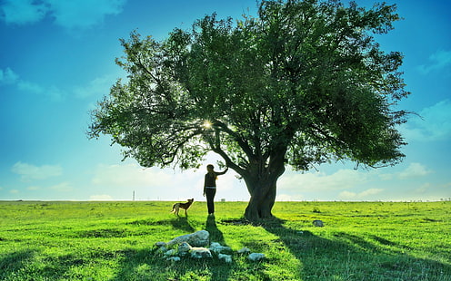 Schöne Landschaft des jugendlich Mädchenhundebaums, jugendlich, Mädchen, Hund, Baum, schön, Landschaft, HD-Hintergrundbild HD wallpaper