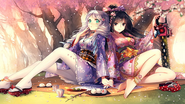 Anime, Benghuai Xueyuan, Kiana Kaslana, Raiden Mei, HD wallpaper