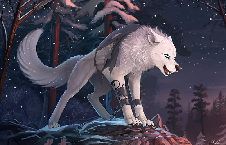 furry, wolf, animals, HD wallpaper